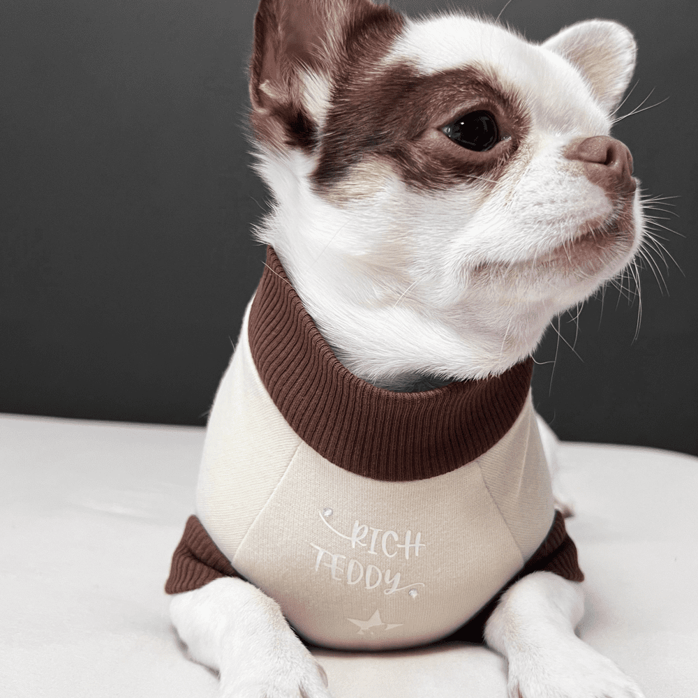Felpa per cani di piccola taglia in French Terry di cotone biologico personalizzata con il nome.