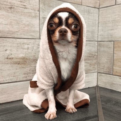 BAMBOO SPA