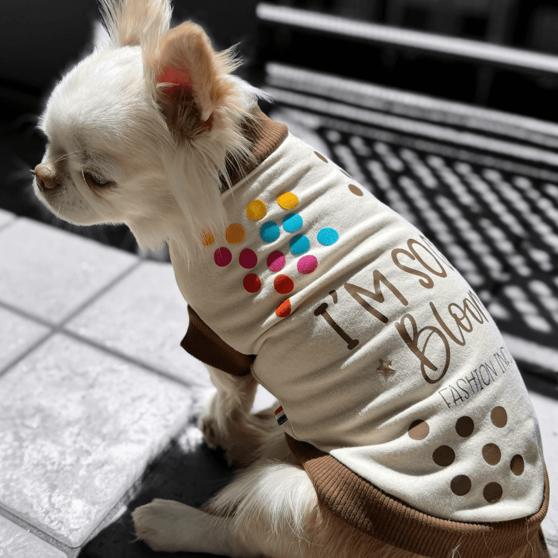 Felpa per cani di piccola taglia in French Terry di cotone biologico personalizzata con il nome.