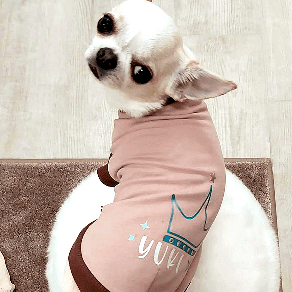 Felpa per cani di piccola taglia in French Terry di cotone biologico personalizzata con il nome.