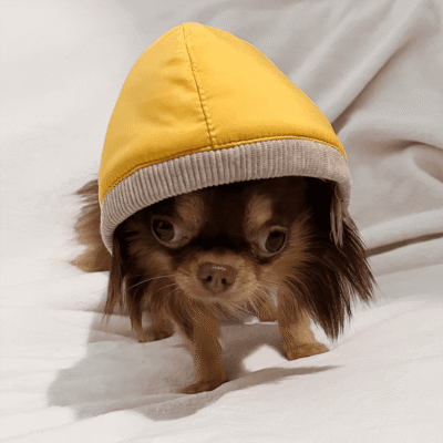 INVERNO AL CALDO