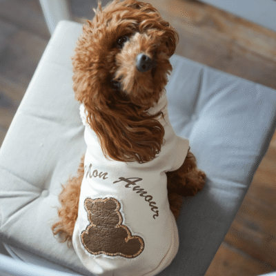 PET WEAR & LIFESTYLE